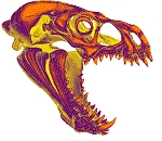headbangerdragon