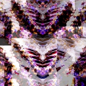 maen.1